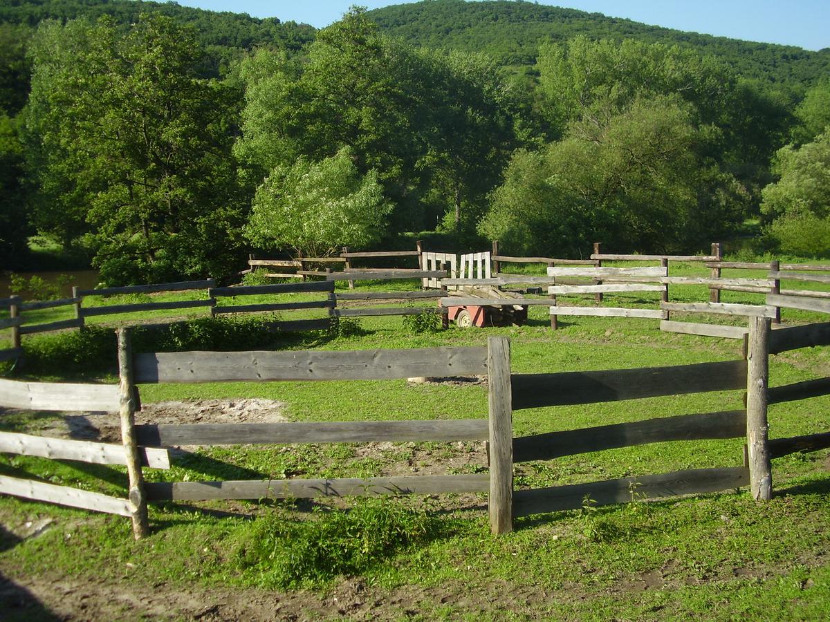 p3240229