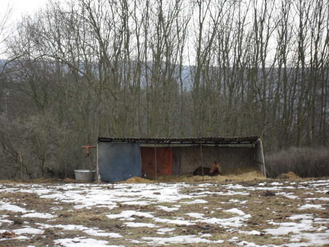 pristresek-velky-vybeh_1