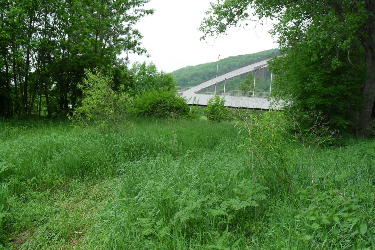 sdc14002_1